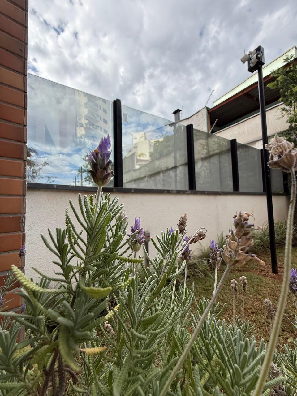 WhatsApp Image 2025-11-04 at 10.29.16