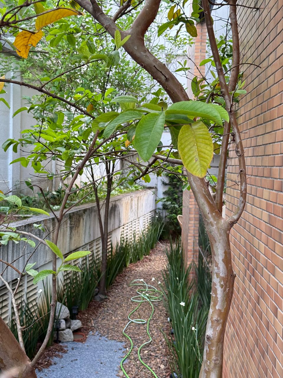 WhatsApp Image 2025-11-04 at 10.29.17 (4)