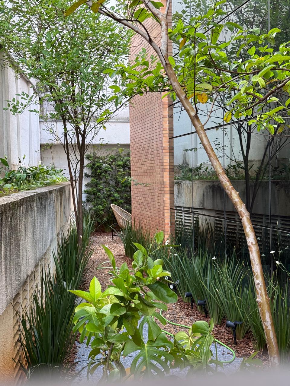 WhatsApp Image 2025-11-04 at 10.29.18