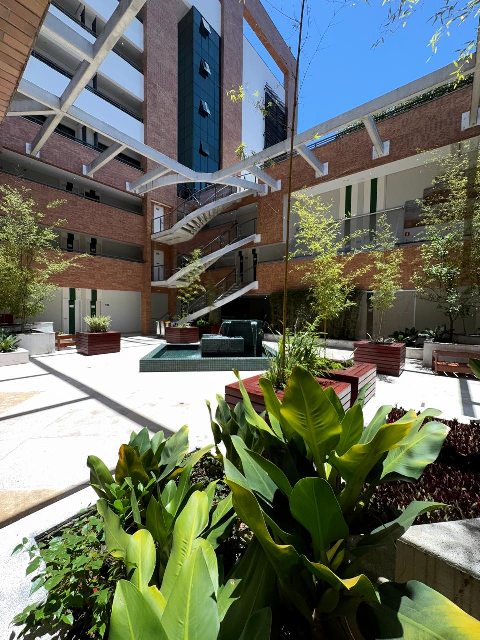 WhatsApp Image 2025-11-11 at 12.17.31